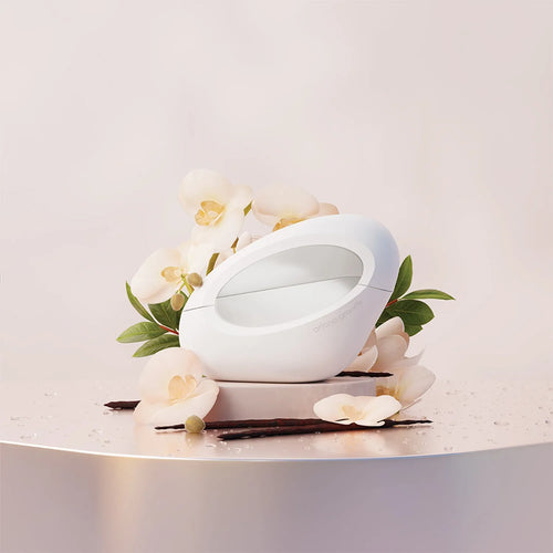 Ariana Grande Mod Vanilla EDP 100 ML (M)
